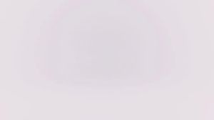 Precision Injector Disassembly Kit: A High-Quality Diesel Fuel Injector Repair Set