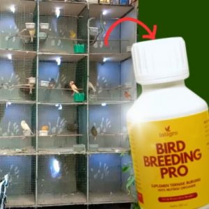 Vitamin Breding Burung Kenari Breeding / Vitamin Obat Ternak Burung Kenari / Vitamin Breeding Kenari