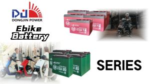 DongJin Power Ebike Battery 48V25AH compatible 12AH/22.8AH/32AH Deep Cycle Lead Acid