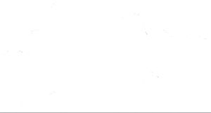 Doctors Best Digestive Enzymes 90 Veggie Caps: A Healthy Digestion Support