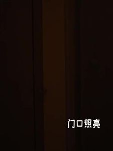 360° PIR Motion Sensing Light Round Energy Saving Bedroom USB Rechargeable Night Lamp Closet Bedside Stairs Induction Smart Lamp