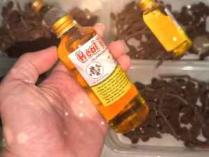 TINH CHẤT THÔNG ALDER HEAL FISH - BỔ SUNG VI KHOÁNG THIẾT YẾU- THẦN D.ƯỢC CHO CÁ CẢNH