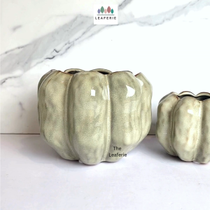 The Leaferie Beaumont plant pot . flowerpots . flower . plant pots . planter . planters . Ceramic