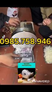 Máy thái salad bắp cải cải thảo làm nộm. MÁy thái 2 trong 1 công suất 40W