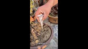2-Piece Set of Gardening Potted Plant Soil Ventilation Funnels Plant Cooling Fertilizing Drainage and Dehumidification Tools