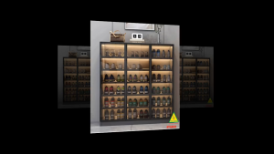 Tủ đựng giày cánh kính 3TGK02 (Tủ không đèn)- NỘI THẤT LẮP RÁP VIENDONGADV