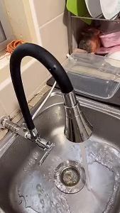 Stainless Steel SUS304 Adjustable Flexible Copper Silicon Hose WALL SINK WATER TAP Kitchen Faucet
