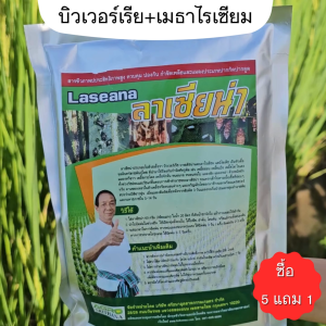 ลาเซียน่า LASIANA สารชีวภาพบิวเวอร์เรีย+เมธาไรเซียม กำจัดเพลี้ย กำจัดศัตรูพืช ชนิด 500 กรัม