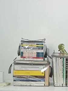 Multifunctional Transparent Book Storage Bag with Large Capacity for Snacks Toys Stationery and Miscellaneous Items