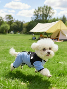 VOA | Four Legs Warmth Dog & Cat Coat Traction Design
