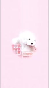 SIVANNA COLORS Glow Treasure eye HF737 ซีเวนน่า อายแชโดว์พาเลทท์ ทั้งเนื้อสีแบทก์และซิมเมอร์ละเอียด