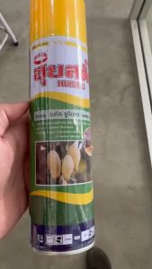 วันทอง ฮูยสติก 600 ซีซี เมทิลยูจินอล สารล่อแมลง กาว ดัก แมลงวันทอง สามารถผสมฟีโรโมน ใช้งานง่าย ทำให้เห็นผลเร็ว