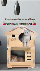 บ้านแมว คอนโดแมว งานไม้สีน้ำตาลเข้ม มีแบบ2ชั้น-1ชั้น ขนาดเล็กและขนาดใหญ่