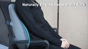 Lumbar Support Pillow for Office Chair Ergonomic Back Support Pillow with Dual Extension Straps for Car Couch Recliner Gaming Chair