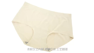 Florence Ice Silk Underwear Seamless Women Panties Middle Waist - From Malaysia Ready Stock