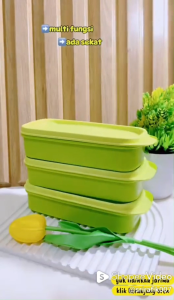 Kotak Miki Set of 3 Pcs - Sekat - Bunda Beli Shop