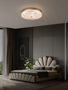 ZHENMEIJU | Creative Personalized Modern Minimalist Romantic LED Ceiling Light
