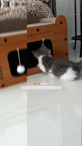 🏆 คอนโดแมว ใหญ่ บ้านแมว ที่ฝนเล็บแมว ที่ฝนเล็บแมวขนาดใหญ่ บ้านแมวกระดาษ ที่นอนแมว ที่ลับเล็บแมว บ้านลับเล็บแมว กล่องแมว แมว ของเล่นแมว กล่องเล็บแมว