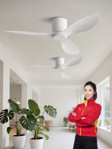 HUANGJIANG | Quiet Variable Speed Ceiling Fan