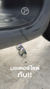 SHADERS Fearless x SUN Lens (กรอบสี Olive Jade - เลือกสีเลนส์ได้)