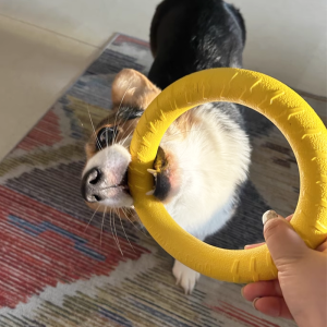 Interactive Dog Toy Tug of War Ring Dental Care Chew Resistant Teddy Golden Retriever Self Entertaining Stress Relief round Ring