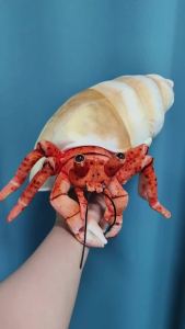 Cute Marine Animal Hermit Crab Plush Toy Simulated Plush Toy Hermit Crab Marine Life Enthusiasts Kids Birthday Christmas Gift