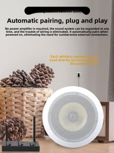 GUANJIAN | Wireless Bluetooth Ceiling Speaker for Home Living Room