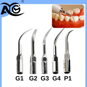 AG | AG 1Pcs Dental Ultrasonic Scaler Tips Scaling Periodontics Endo Perio Scaling Tip Fit for EMS Woodpecker DTE NSK SATELEC Scalers