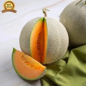 BIJI BENIH TANAMAN MELON MADU DAGING ORANGE (REPACK)