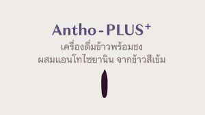 2 ชุดกล่อง Antho-Plus+ Organic Rice Drink น้ำข้าวอินทรีย์แอนโทพลัส