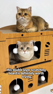 2 in 1 Cat Scratcher Wooden Cat House Large Space Durable Sturdy Cat Scratch Post Scratching Board