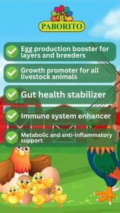 ProGastro Plus | Poultry & Swine Probiotics | Layers Broilers & Other Farm Animals | 1L