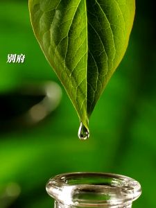 Onsensou Luxury Shampoo with Hot Spring Algae Essence 300ml