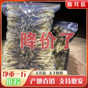Deerhorn Mushroom Dry Goods 500G Net Weight Antler Mushroom Yunnan Specialty Fresh Mushroom Crisp Mushroom Dry Goods Mushroom