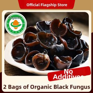 Organic High-grade Northeast Black Fungus Wild Harvest