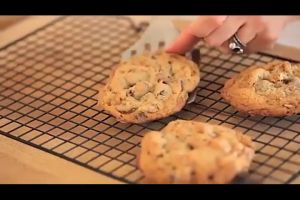 Cooling Rack Kitchen Baking Cooking Stainless Steel Wire Grid Tray Cake Food Oven Pizza Bread Cookie For Baking Non-Stick Home Kitchen Rack Bread Pizza Drying Stand Holder Tray Kitchen Grill Net Cookies Biscuits Drying Stand Holder Barbecue grill