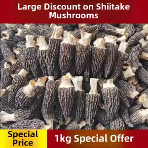 Wild Yunnan Selected Sheep Stomach Mushroom Soup Ingredients Farmhouse Special Nutritious Health Food for Pregnant Women