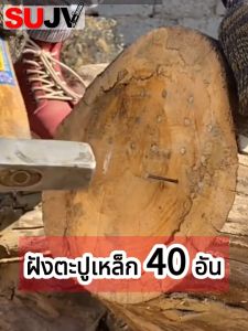 โซ่เลื่อยยนต์ โซ่เลื่อย โซ่นำเข้า 11.5นิ้ว-24นิ้ว 3/8 325 สำหรับเลื่อยยนต์ เลื่อยตัดไม้ เลื่อยไฟฟ้า รับประกันความคม สินค้าใหม่ 100%คุณภาพสูง