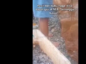 LAMPU UMPAN IKAN LAMPU JARING IKAN INDIKATOR BAWAH AIR INDIKATOR MANCING IKAN Pancing