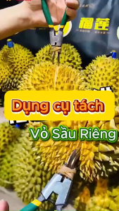 Kìm tách vỏ sầu riêng - Dụng cụ mở vỏ sầu riêng tiện lợi cho quý bà con