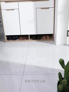 MOLORE | Dust Removal Welcoming Door Mat