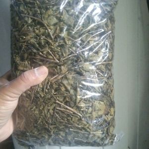teh hijau kiloan 100% asli tanpa campuran teh hijau peko tehijau curah teh hijau herbal teh hijau 1kg tehijau kepalajenggot teh hijau pelangsing teh hijau untuk diet Gren tea teh pucuk harum teh poci teh sosro teh lokal teh tubruk teh indone