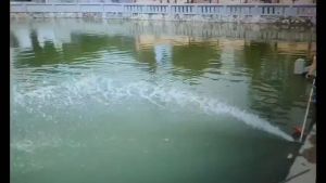 Đầu Bơm Nước Lắp Máy Cắt Cỏ Hợp Kim Nhôm ( 26/28 ty 9 khía)