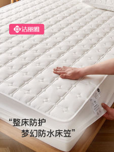Waterproof Urine-Proof Bed Canopy Single Piece Thickened Mattress Protector Cover Bed Canopy Bed Sheet Grace Polyester Fiber