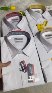 Áo Sơ Mi Nam Dài Tay Slimfit Vĩnh Tiến AD360 Trắng