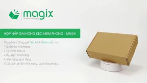 MNGK05 - 25x19x7 cm - 20 hộp carton nắp gài có keo niêm phong - Hộp gói hàng | Magix Packaging