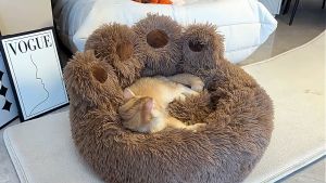 ที่นอนสุนัข เบาะนอน เบาะนุ่ม ที่นอนขนาดใหญ่ เลี้ยงทั่วไป บ้านแมว ที่นอนเกรดพรีเมี่ยมนุ่ม นอนสูงสุด