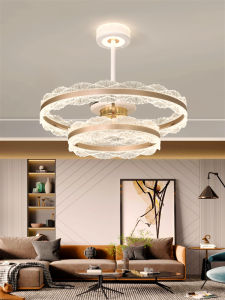 Aiskdan | Luxury Ceiling Fan and Light For Home Use