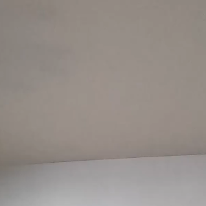 Plasterboard Ceiling Hooks / Ceiling Rotary Hook / Metal Spring Toggle Wing Bolt Hook