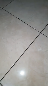 JULO  Senter Tangan Baterai Mitsuyama 2 In 1 Free Baterai AA – Senter Genggam MS 1239 Emergency Lamp Senter Tangan 2 Fungsi Senter Portable